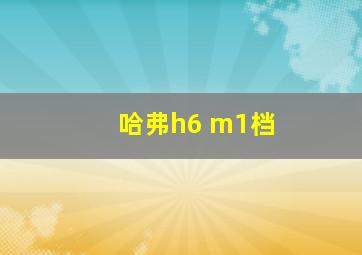 哈弗h6 m1档